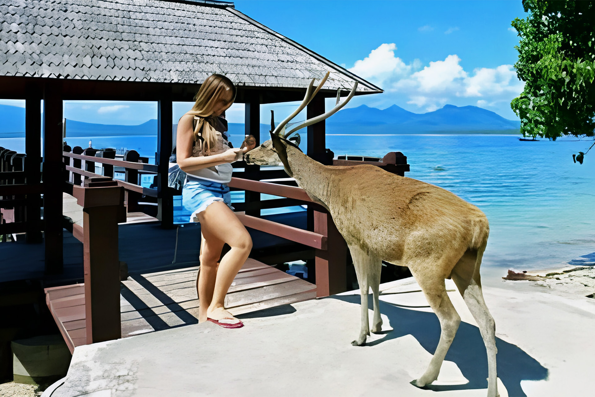 Pulau Menjangan: Destinasi Anti-Mainstream untuk Pencinta Alam