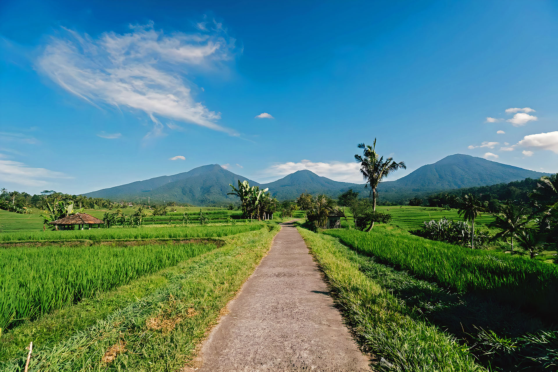 Wisata Jatiluwih: Destinasi Wajib Situs Warisan Dunia UNESCO